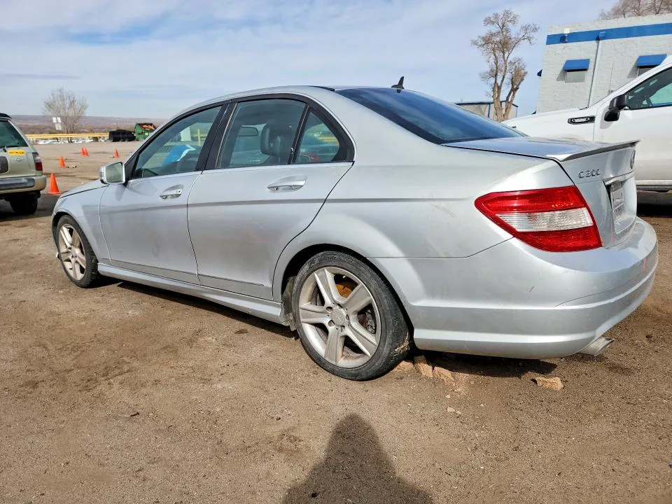 WDDGF5EB4AF379965 — 2010 MERCEDES-BENZ C photo 2