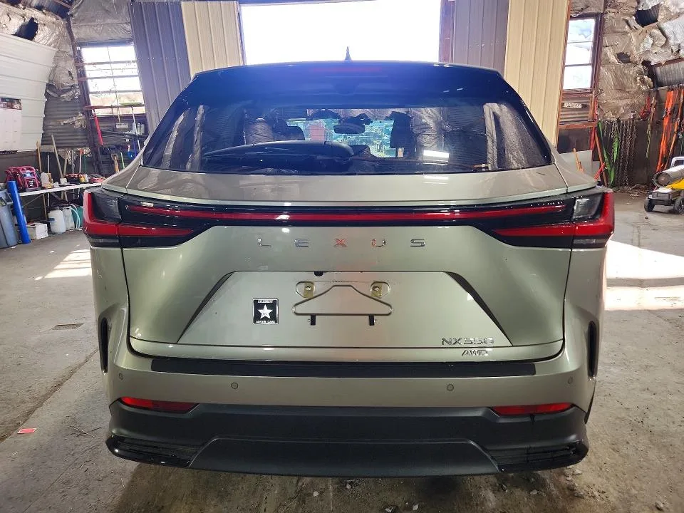 2T2GGCEZ0TC113536 — 2026 LEXUS NX photo 6