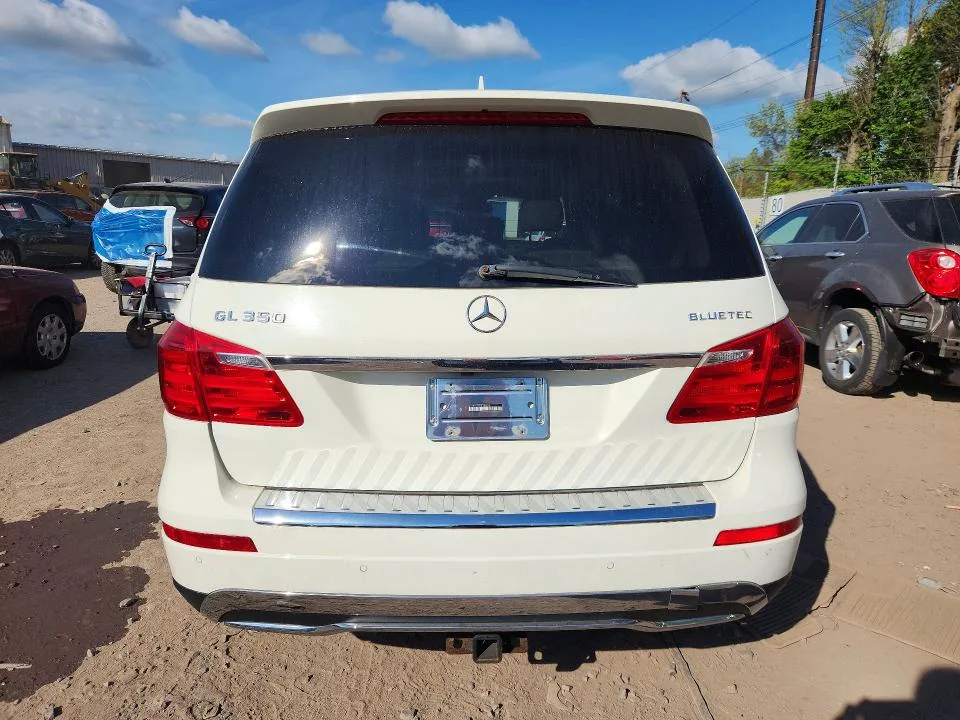 4JGDF6EE8GA697795 — 2013 MERCEDES-BENZ GL-GLASS photo 6
