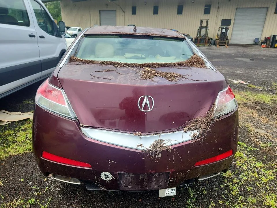 19UUA8F24AA012624 — 2010 ACURA TL photo 6