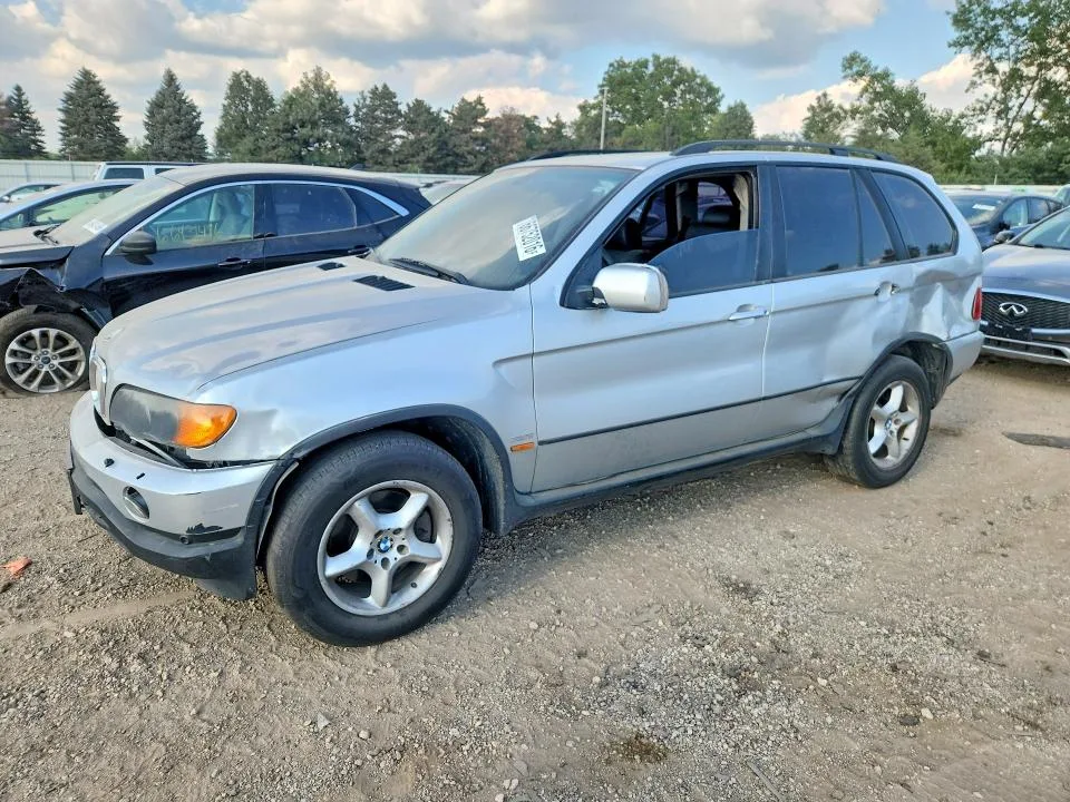 5UXFA53593LV74481 — 2003 BMW X5