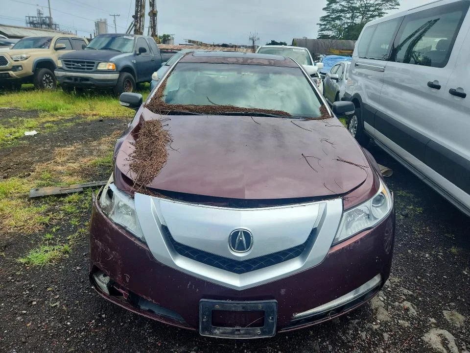19UUA8F24AA012624 — 2010 ACURA TL photo 5