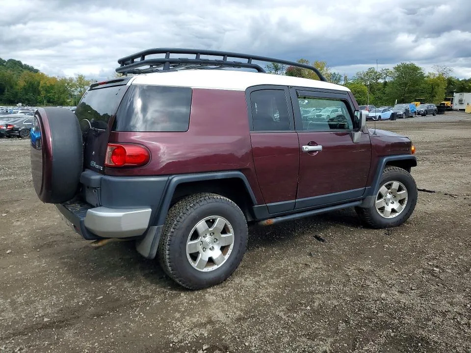 JTEBU11F170026201 — 2007 TOYOTA FJ CRUISER photo 3