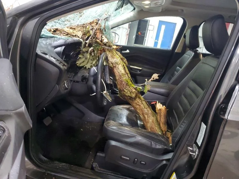 1FMCU9J94JUA89466 — 2018 FORD ESCAPE photo 7