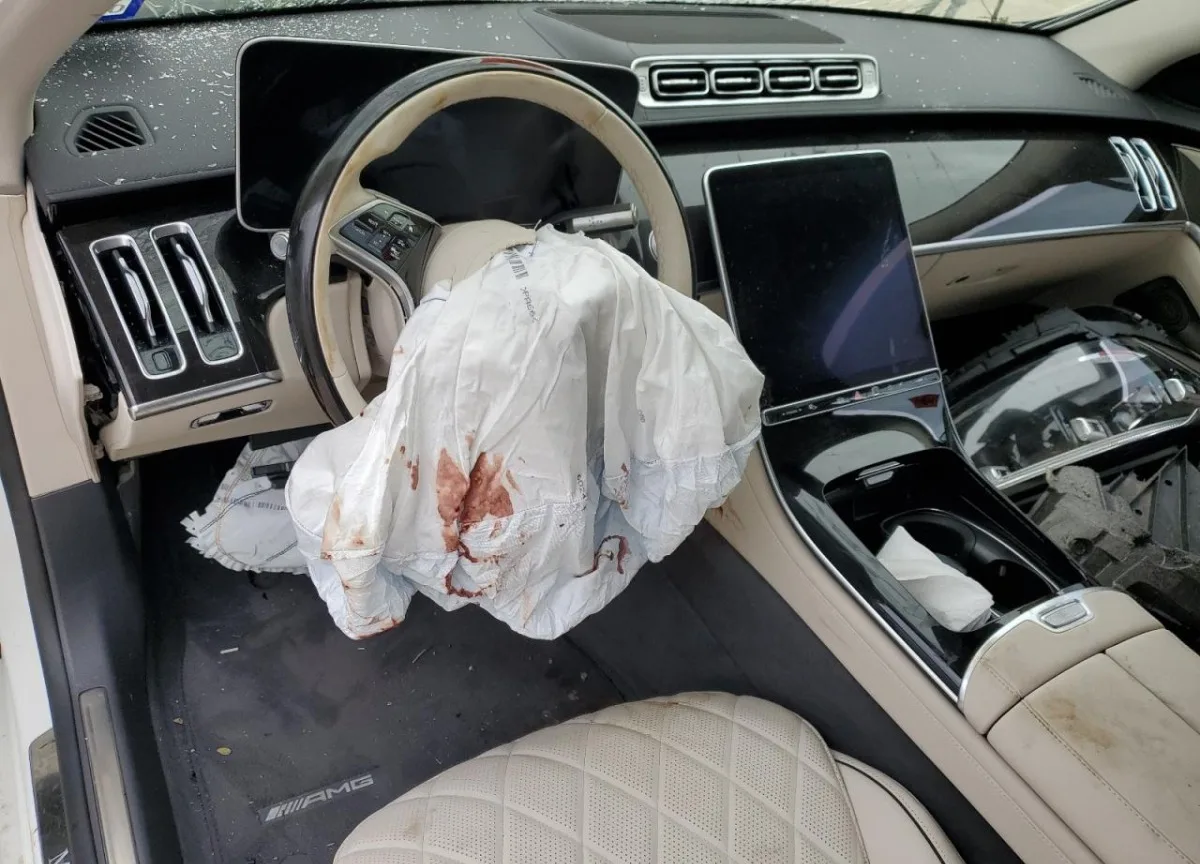 W1K6G7GB5PA235204 — 2023 MERCEDES-BENZ S-Class photo 9