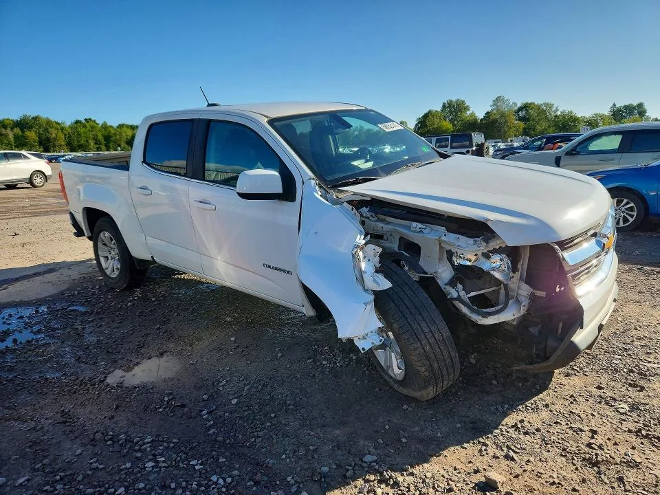 1GCGSCEN4L1203812 — 2020 CHEVROLET COLORADO photo 4