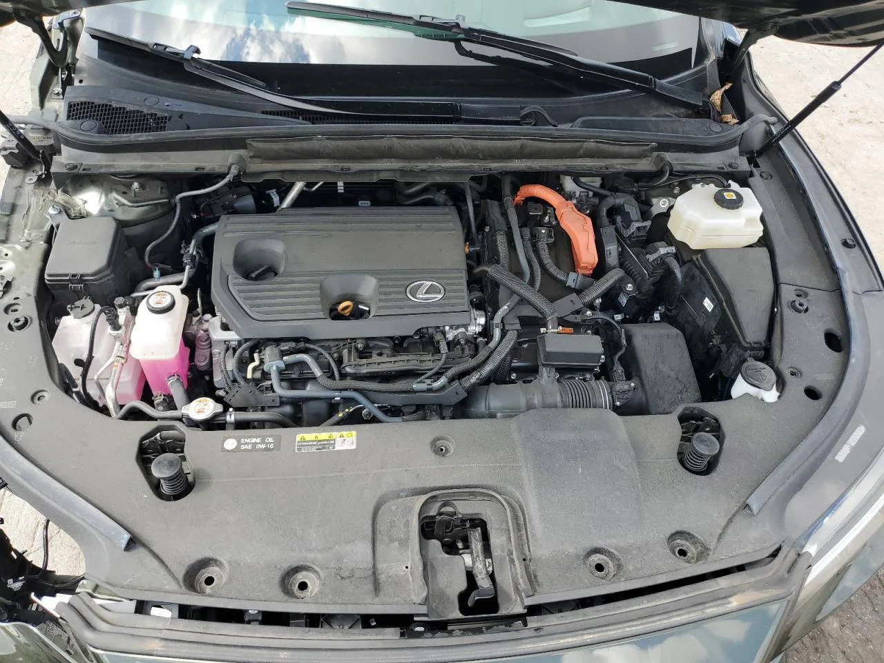 2T2BBMCA4PC005146 — 2023 LEXUS RX photo 7