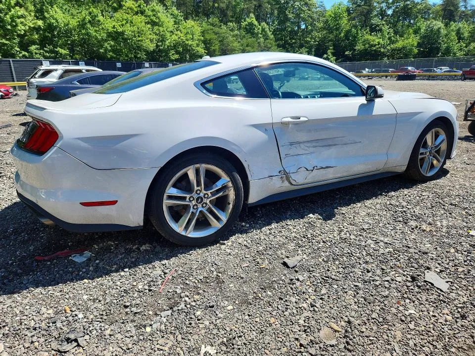 1FA6P8TH3K5185095 — 2019 FORD MUSTANG photo 3