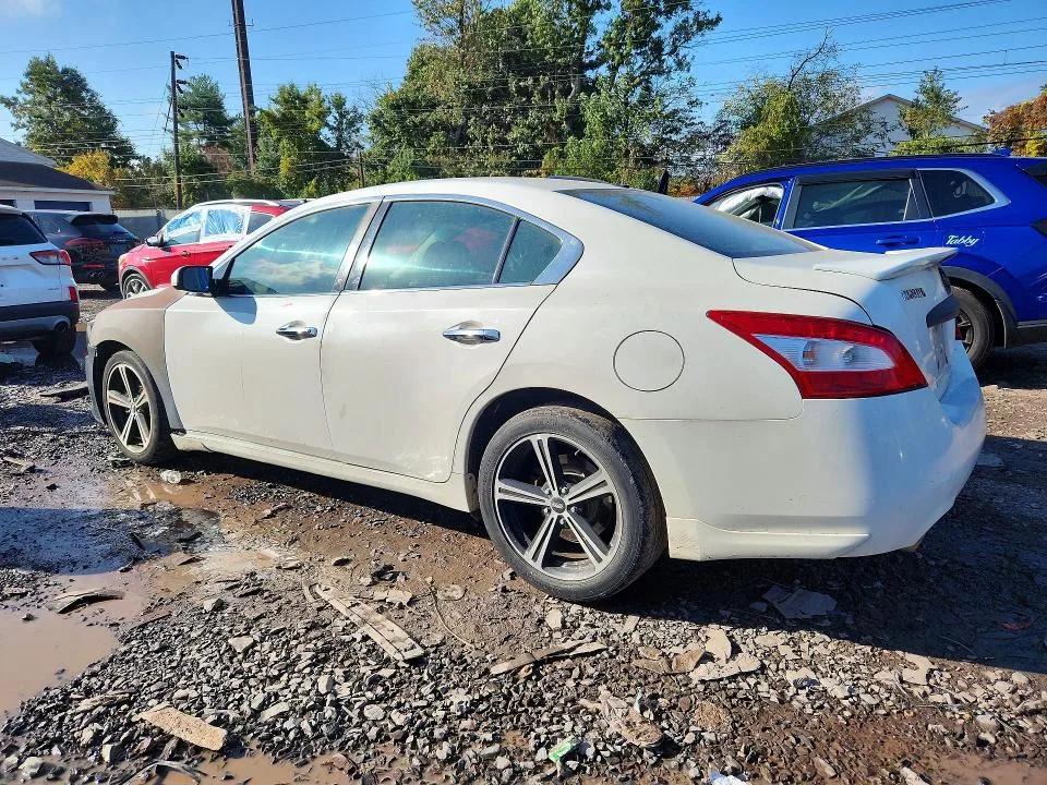 1N4AA51E29C861013 — 2009 NISSAN MAXIMA photo 2