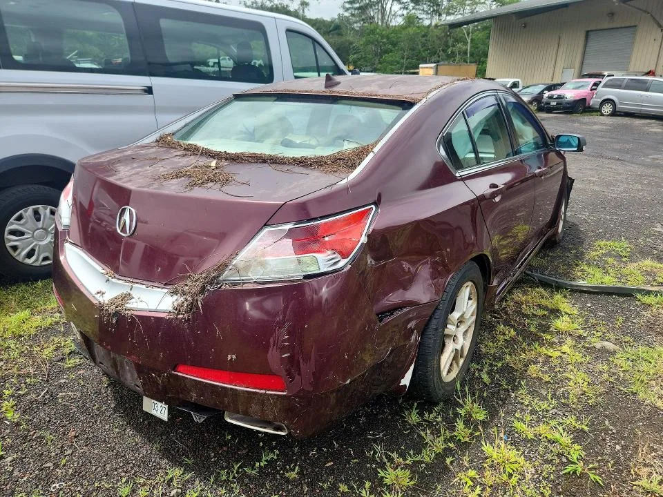 19UUA8F24AA012624 — 2010 ACURA TL photo 3