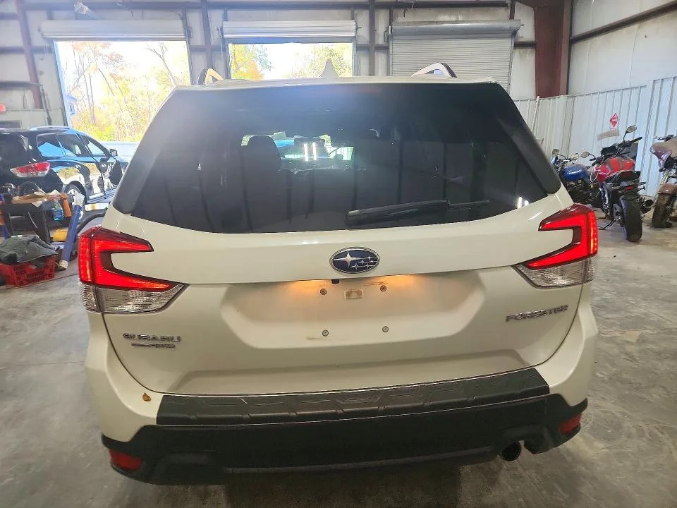JF2SKASC5KH407091 — 2019 SUBARU FORESTER photo 6