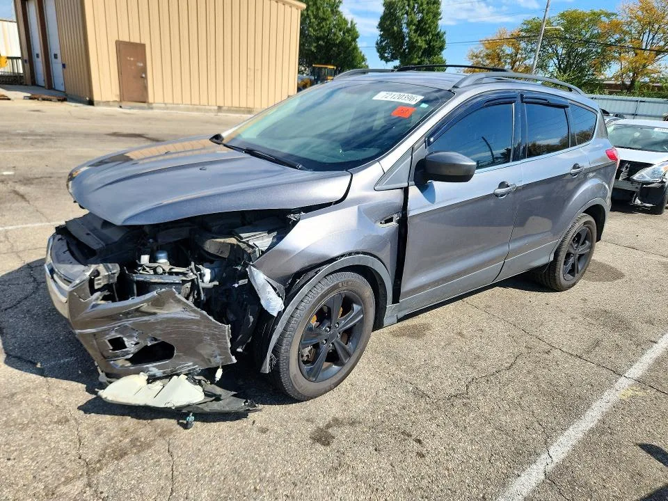 1FMCU0G95DUC10304 — 2013 FORD ESCAPE photo 1