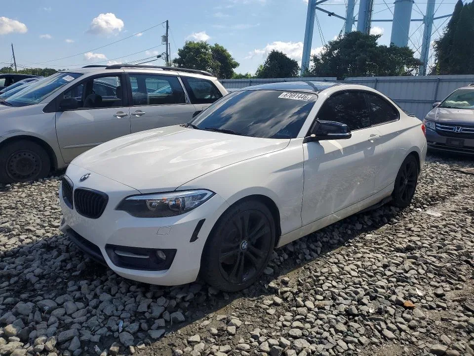 WBA1G9C58GV599560 — 2016 BMW 228 photo 1