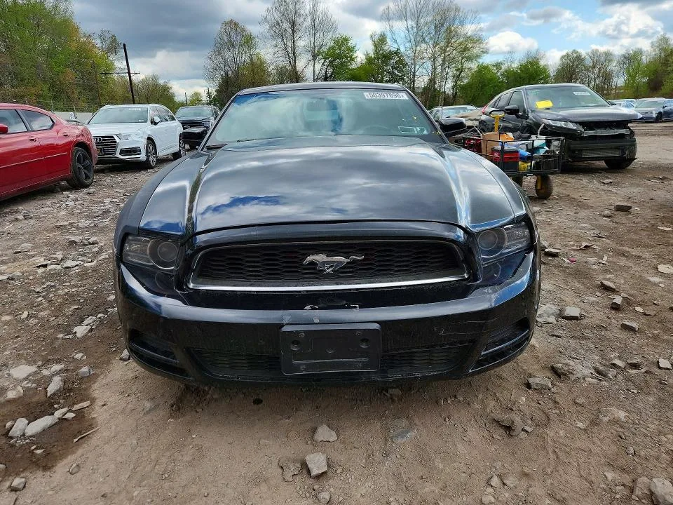 1ZVBP8AM2E5240372 — 2014 FORD MUSTANG photo 5