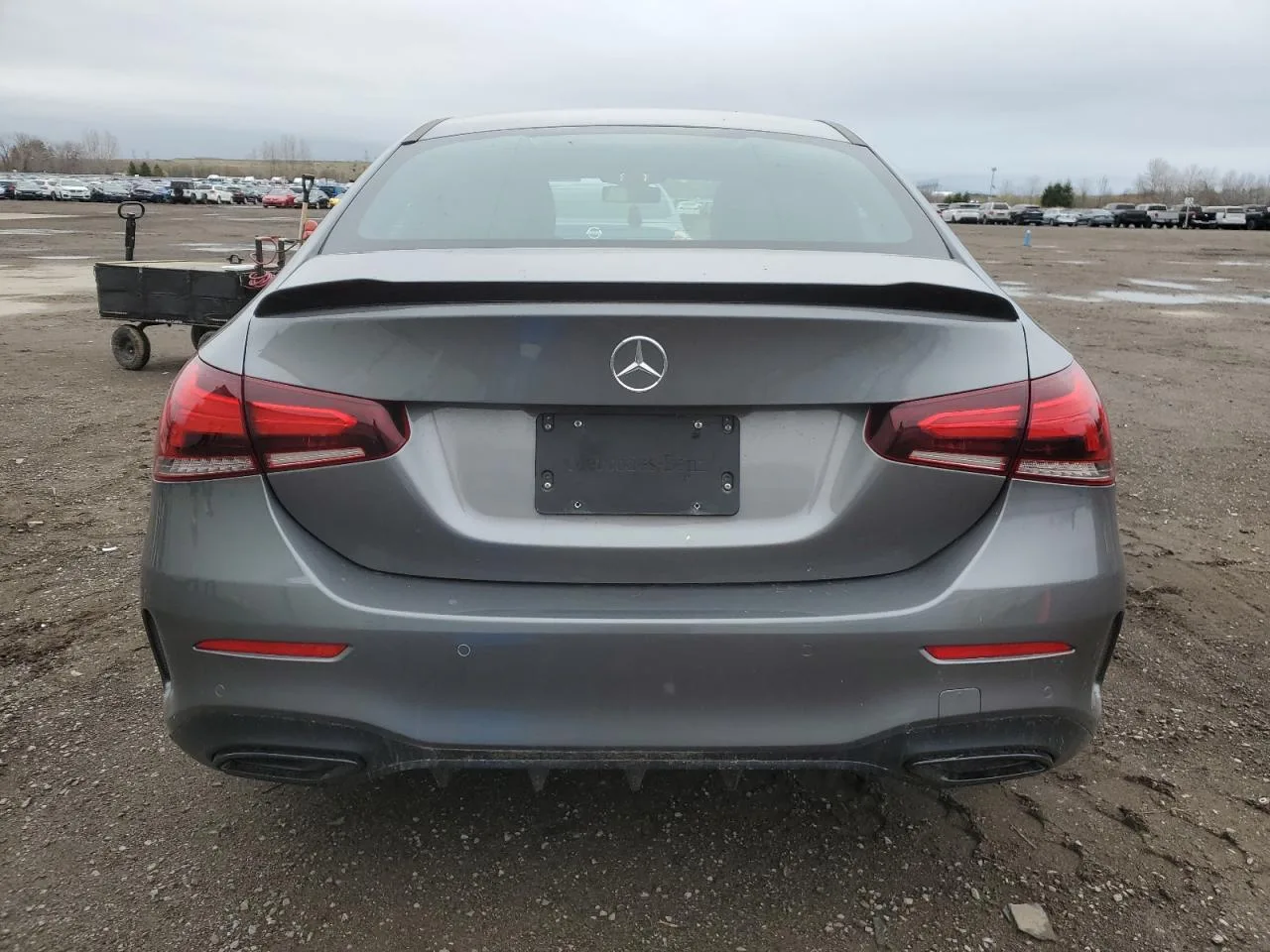 W1K3G4FB5LW046925 — 2020 MERCEDES-BENZ A-Class photo 10