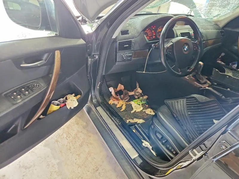 WBXPC9C40AWJ36980 — 2010 BMW X3 photo 8