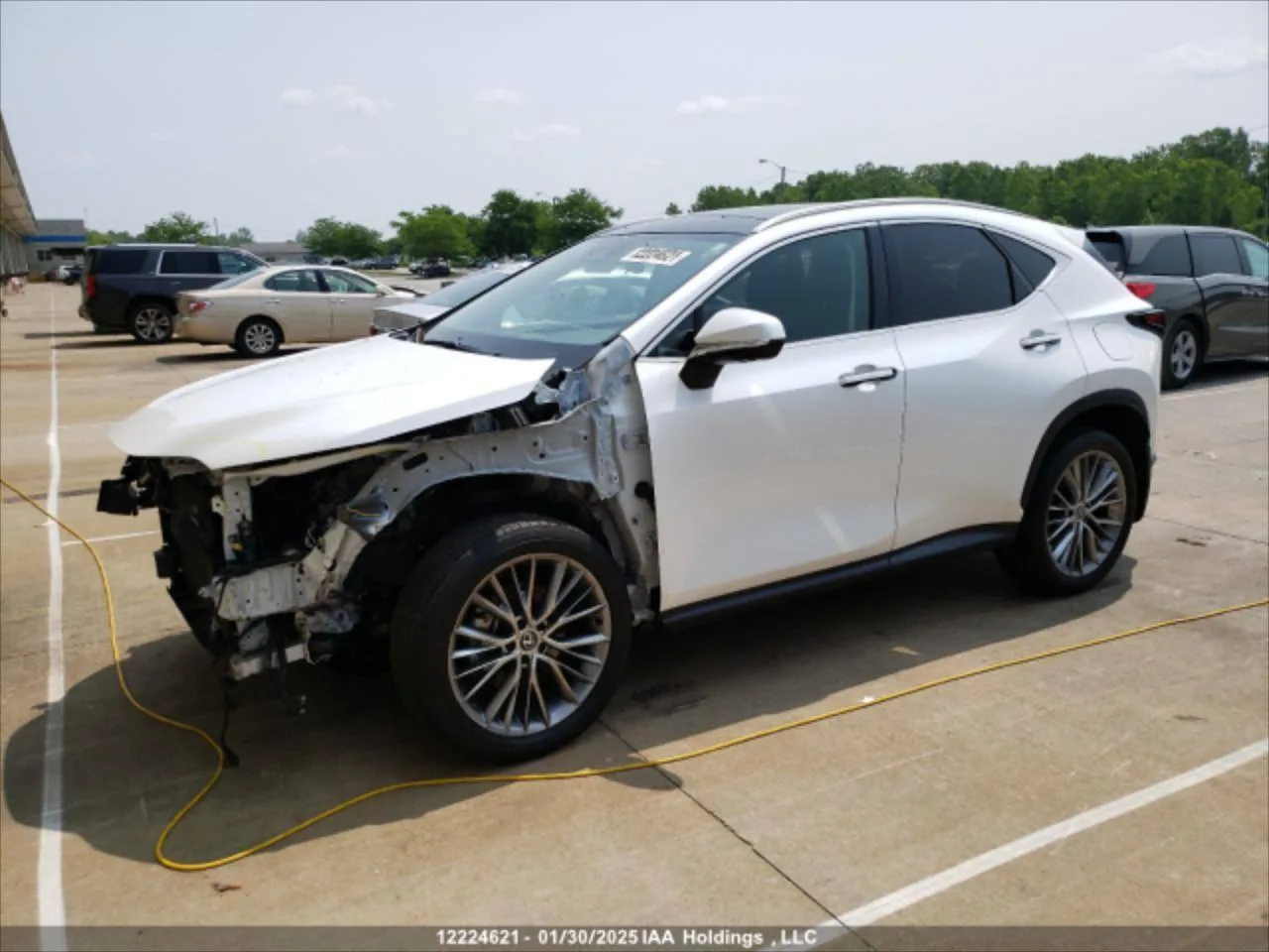 2T2GKCEZXPC015554 — 2023 LEXUS NX photo 10