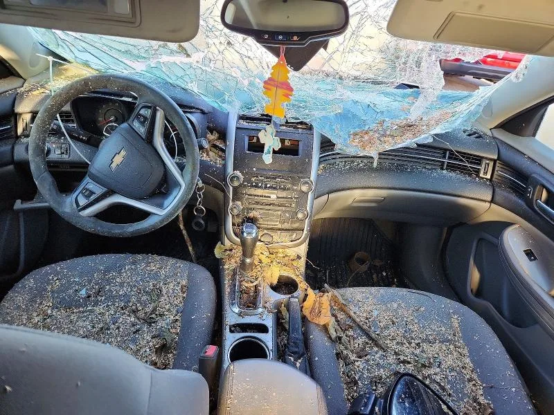 1G11B5SL4EF260708 — 2014 CHEVROLET MALIBU photo 8