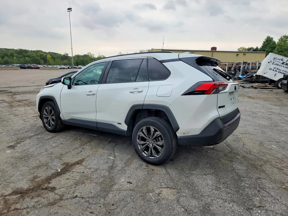 2T3B6RFV0RW068919 — 2024 TOYOTA RAV4 photo 2
