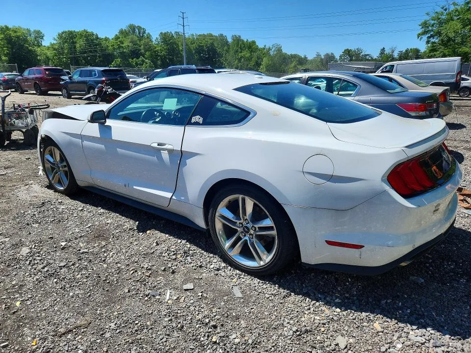 1FA6P8TH3K5185095 — 2019 FORD MUSTANG photo 2
