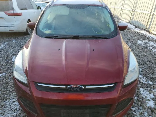 3FA6P0G77GR375893 — 2014 FORD ESCAPE photo 5