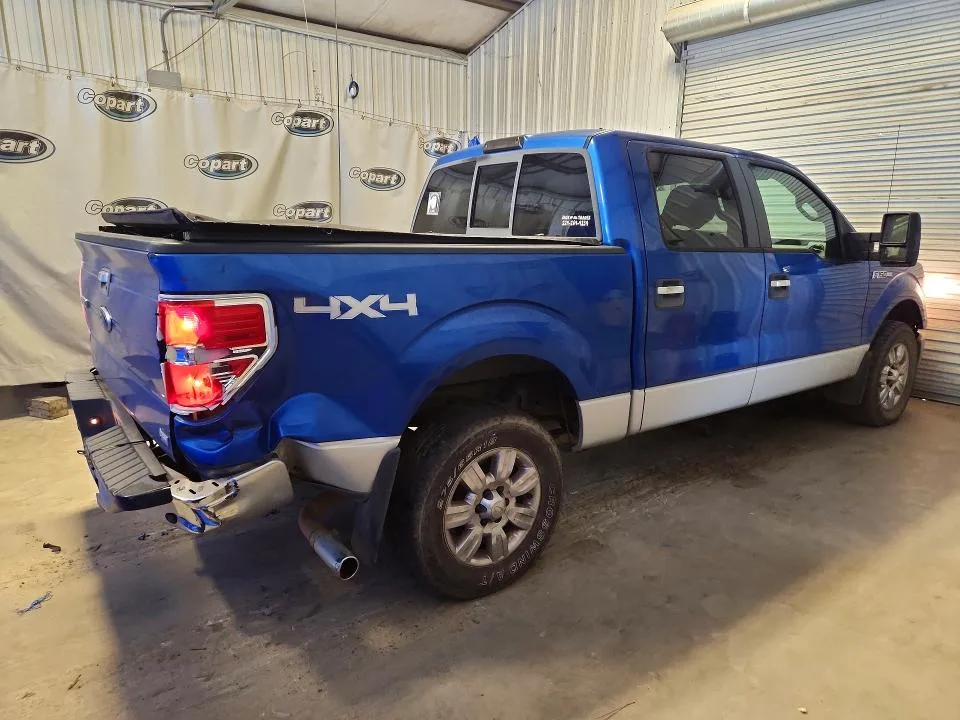 1FTFW1EV7AFA56843 — 2010 FORD F150 photo 3