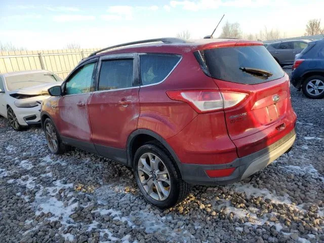 3FA6P0G77GR375893 — 2014 FORD ESCAPE photo 2