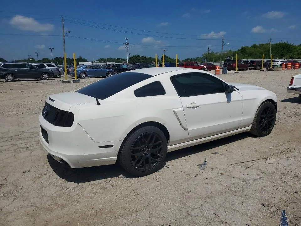 1ZVBP8AM2D5272057 — 2013 FORD MUSTANG photo 3