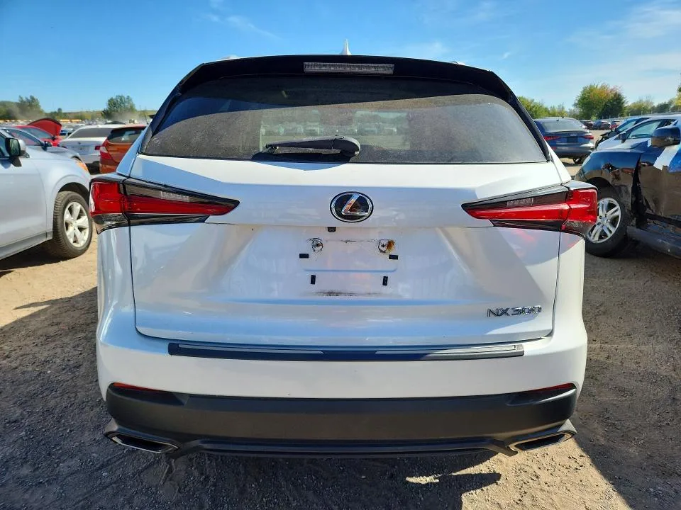 JTJBARBZ8K2181777 — 2019 LEXUS NX 300 photo 6