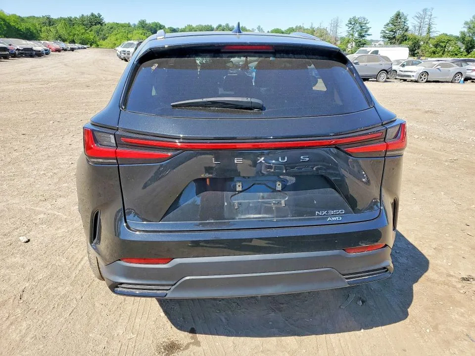 2T2AGCEZ2NC012975 — 2022 LEXUS NX photo 6