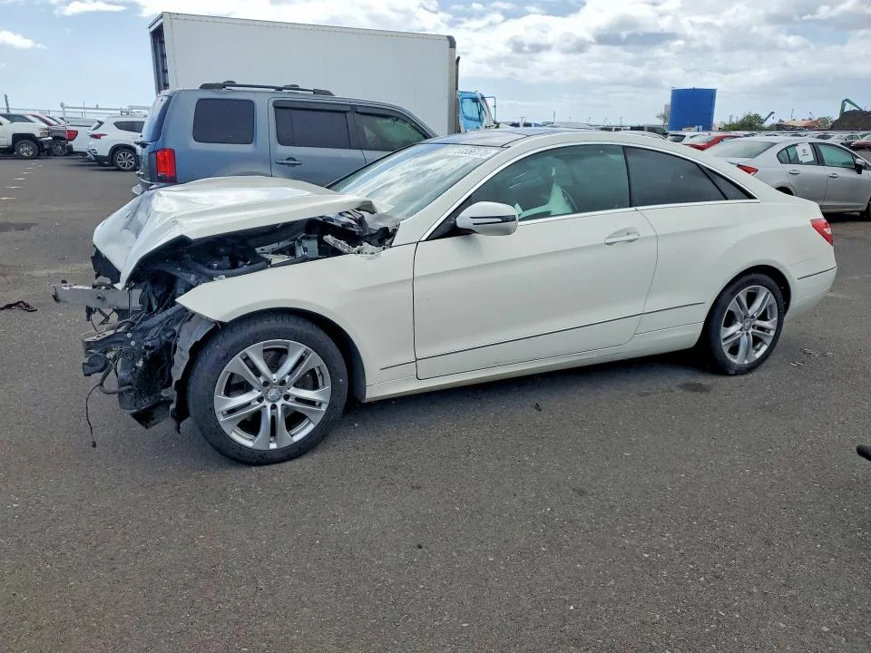 WDDKJ5GB0AF003057 — 2010 MERCEDES-BENZ E