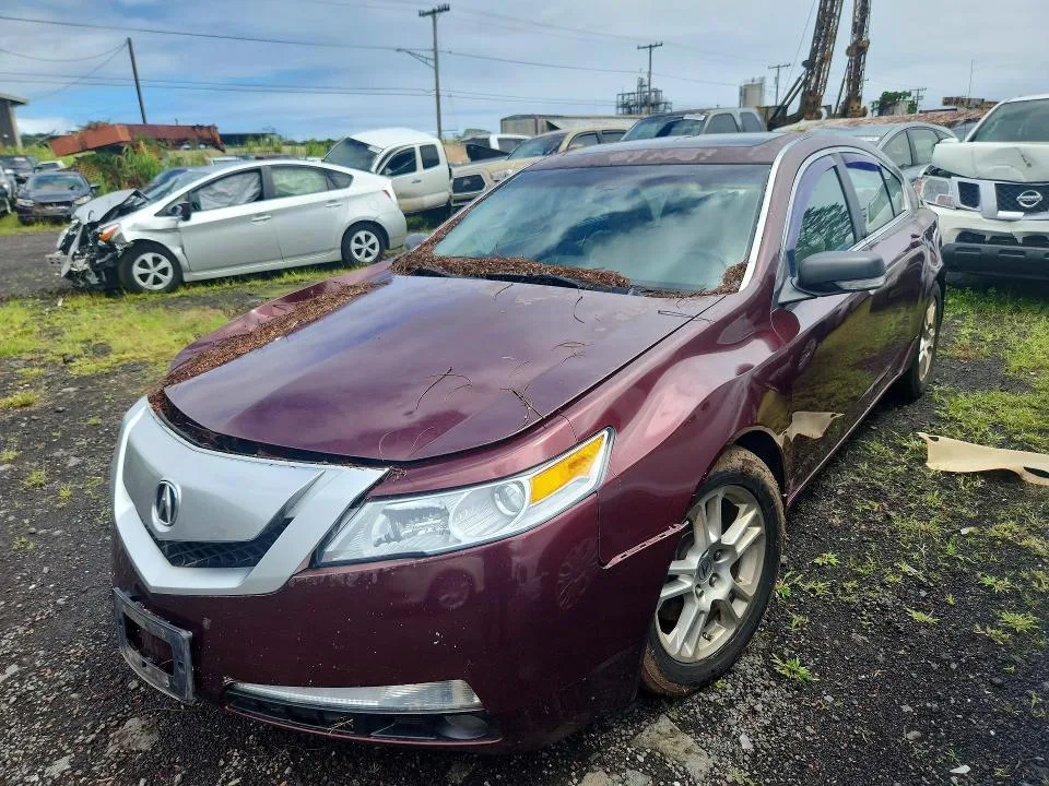 19UUA8F24AA012624 — 2010 ACURA TL