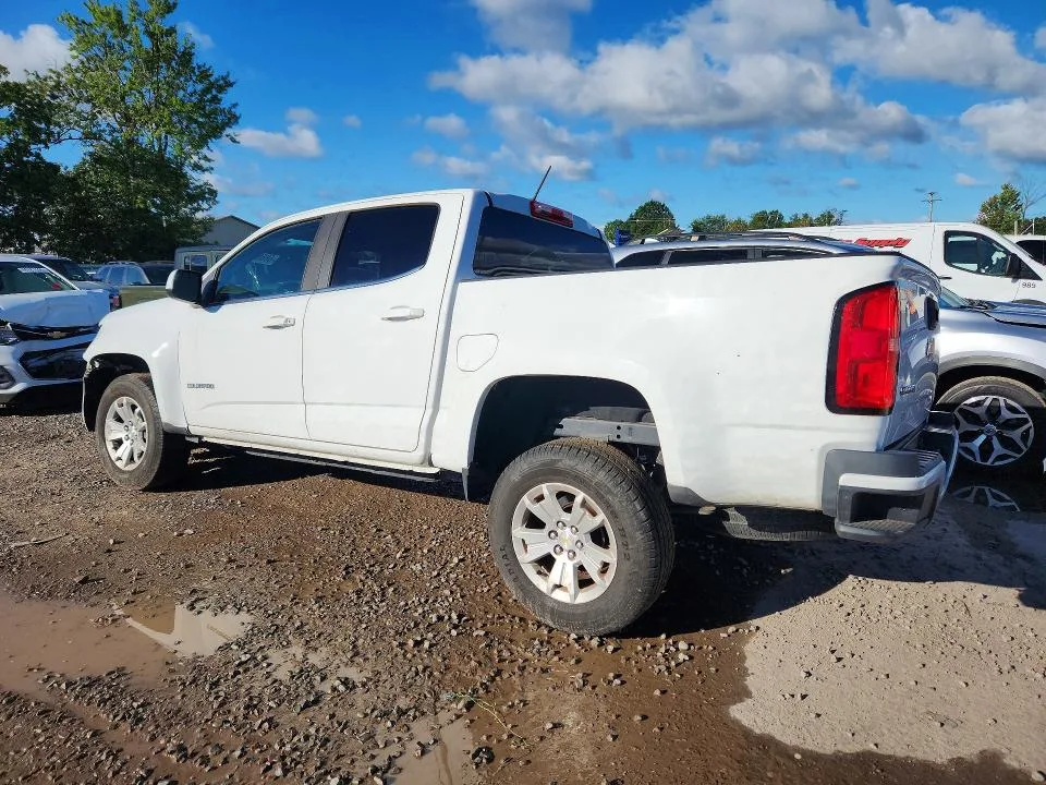 1GCGSCEN4L1203812 — 2020 CHEVROLET COLORADO photo 2