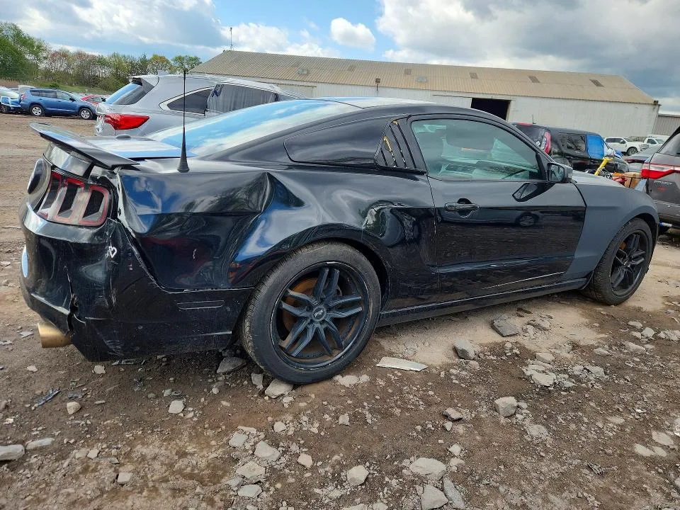 1ZVBP8AM2E5240372 — 2014 FORD MUSTANG photo 3