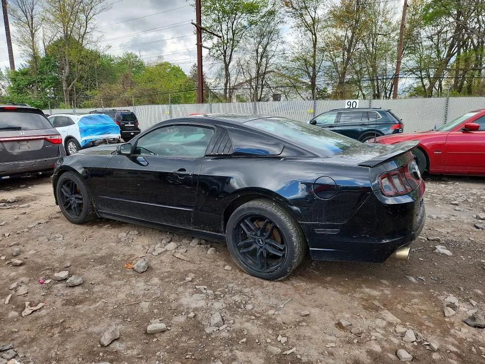 1ZVBP8AM2E5240372 — 2014 FORD MUSTANG photo 2