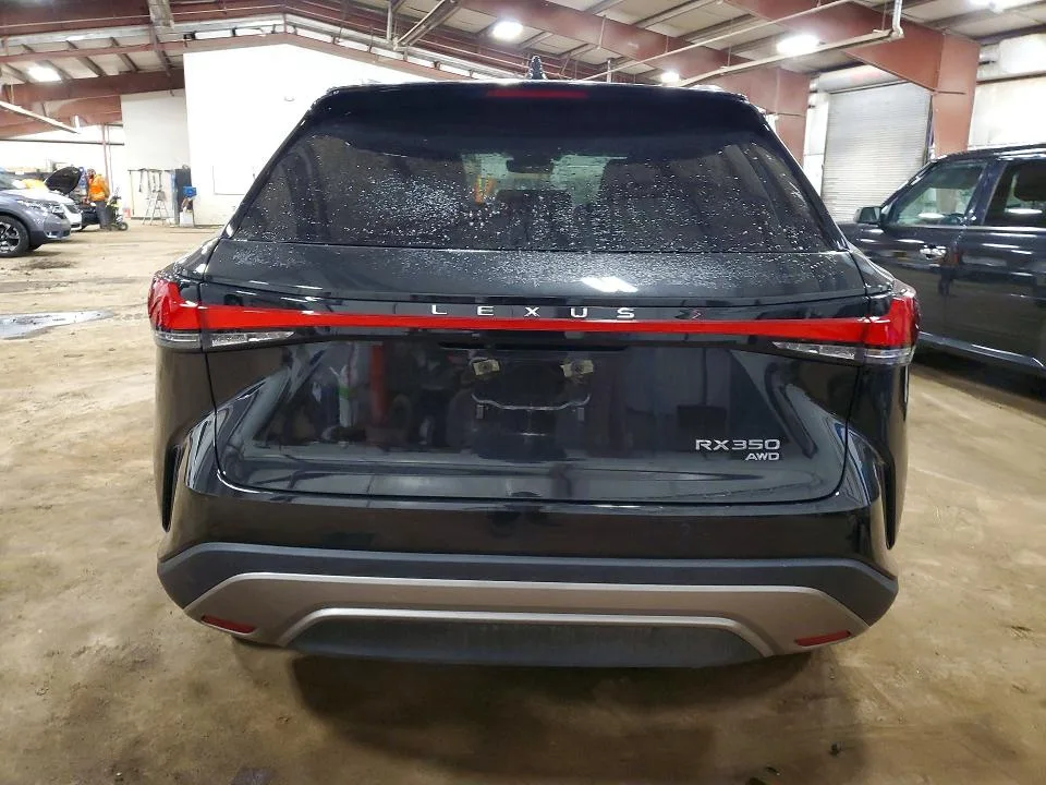 2T2BAMCA8SC094263 — 2025 LEXUS RX 350 photo 6