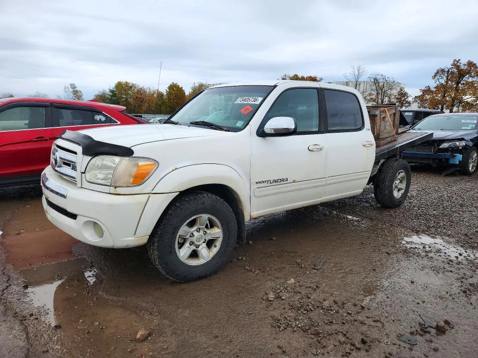 5TBDT44196S545731 — 2006 TOYOTA TUNDRA