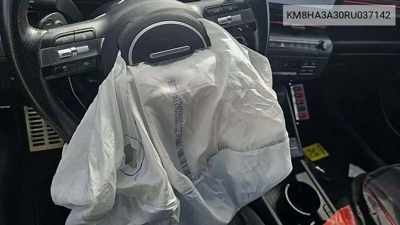 Photo 14 of vehicle VIN KM8HA3A30RU037142