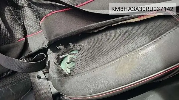 Photo 9 of vehicle VIN KM8HA3A30RU037142